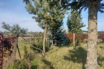 Działka budowlana Borowa, ul. Długa. Zdjęcie 1