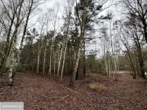 Działka rekreacyjna Mniszki A. Zdjęcie 3