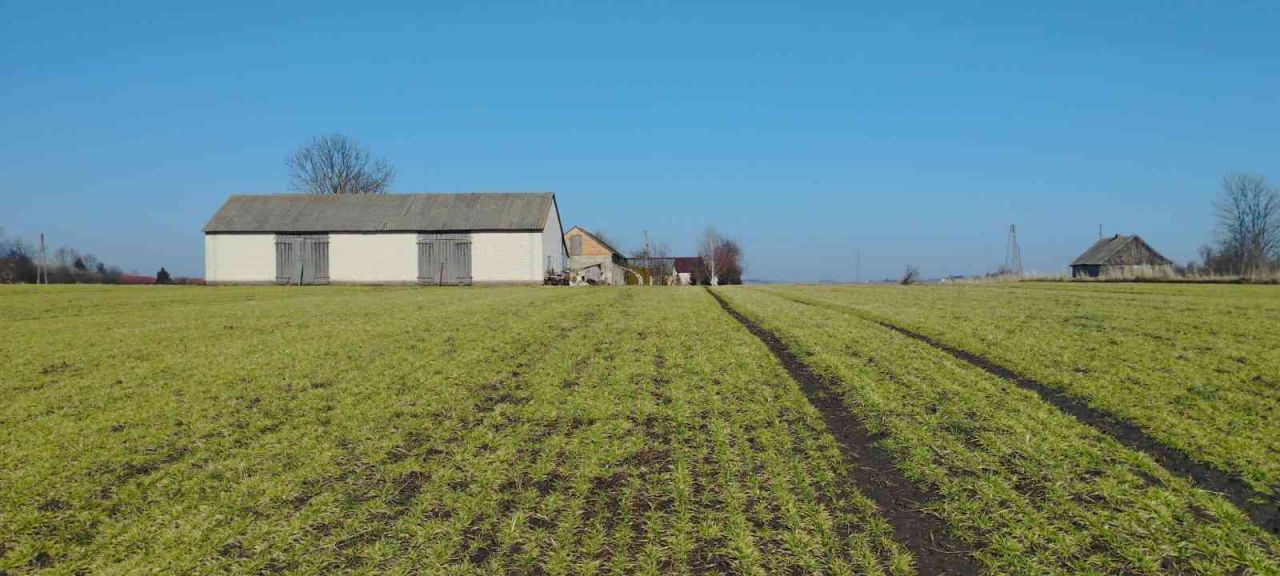 dom wolnostojący, 3 pokoje Czernięcin Poduchowny, Czernięcin Poduchowny. Zdjęcie 16