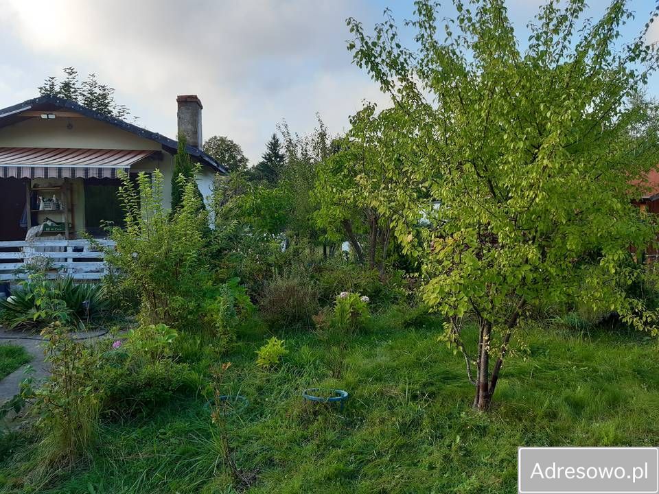 Działka rod Gdańsk Morena. Zdjęcie 4