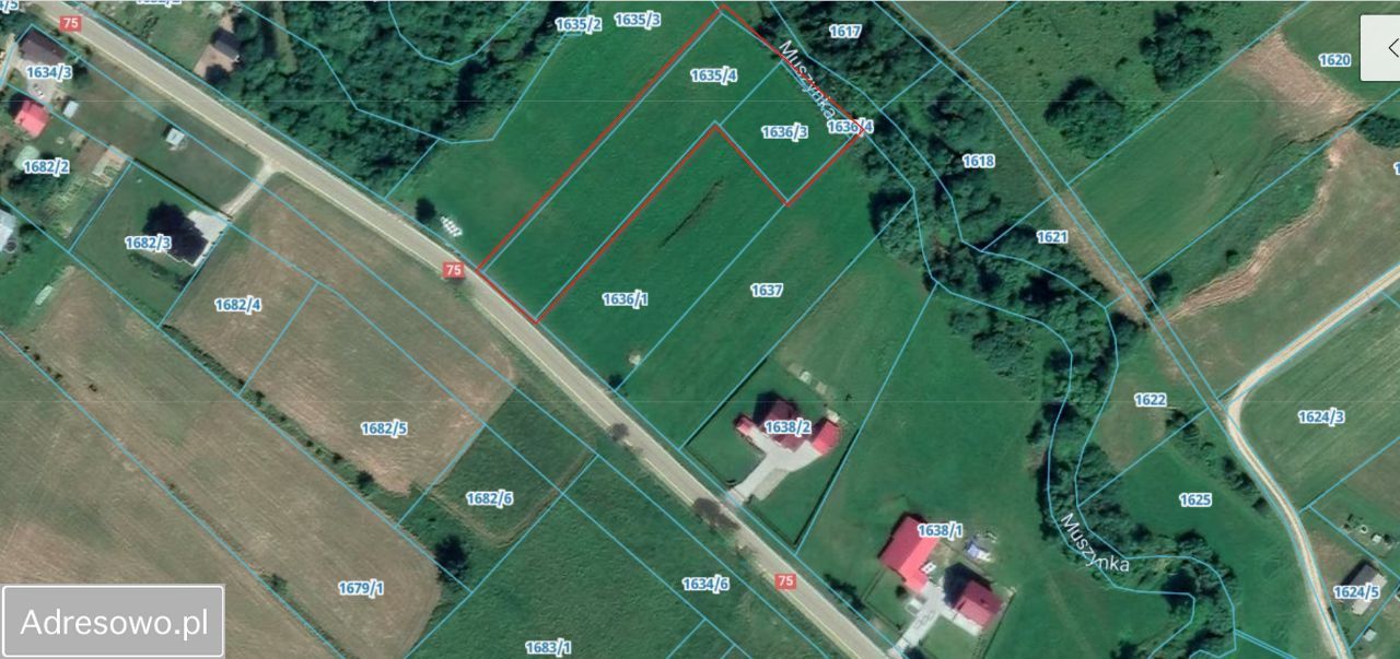 Działka rolno-budowlana Tylicz, ul. Konfederatów Barskich. Zdjęcie 3