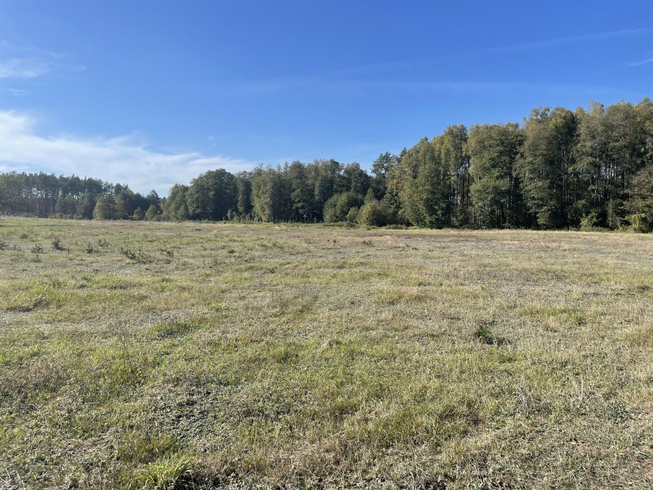 Działka rolna Jedlina. Zdjęcie 14