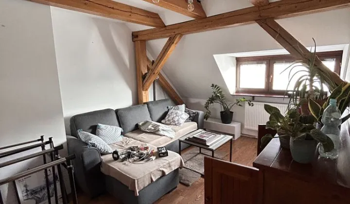 Mieszkanie 5-pokojowe Opole Śródmieście