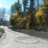 dom wolnostojący, 6 pokoi Wola Nieszkowska. Zdjęcie 2