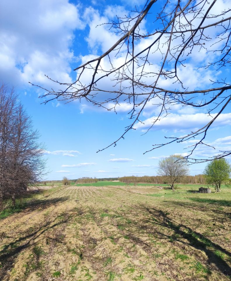 Działka rolno-budowlana Ostrów Północny. Zdjęcie 4