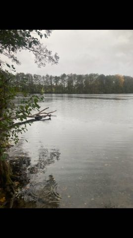 Działka rekreacyjna Niwka. Zdjęcie 1
