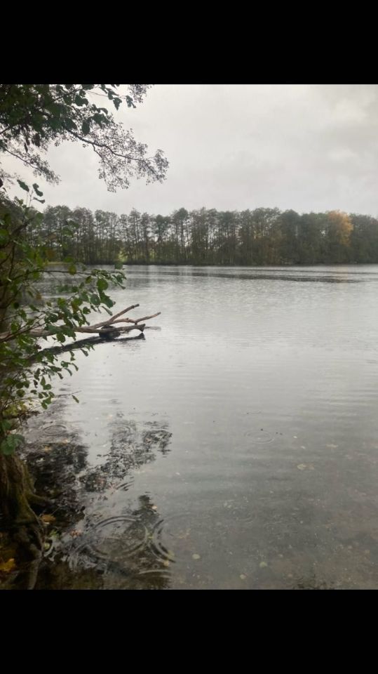 Działka rekreacyjna Niwka. Zdjęcie 1