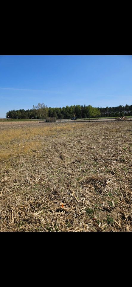 Działka budowlana Rydzyn Szlachecki. Zdjęcie 10