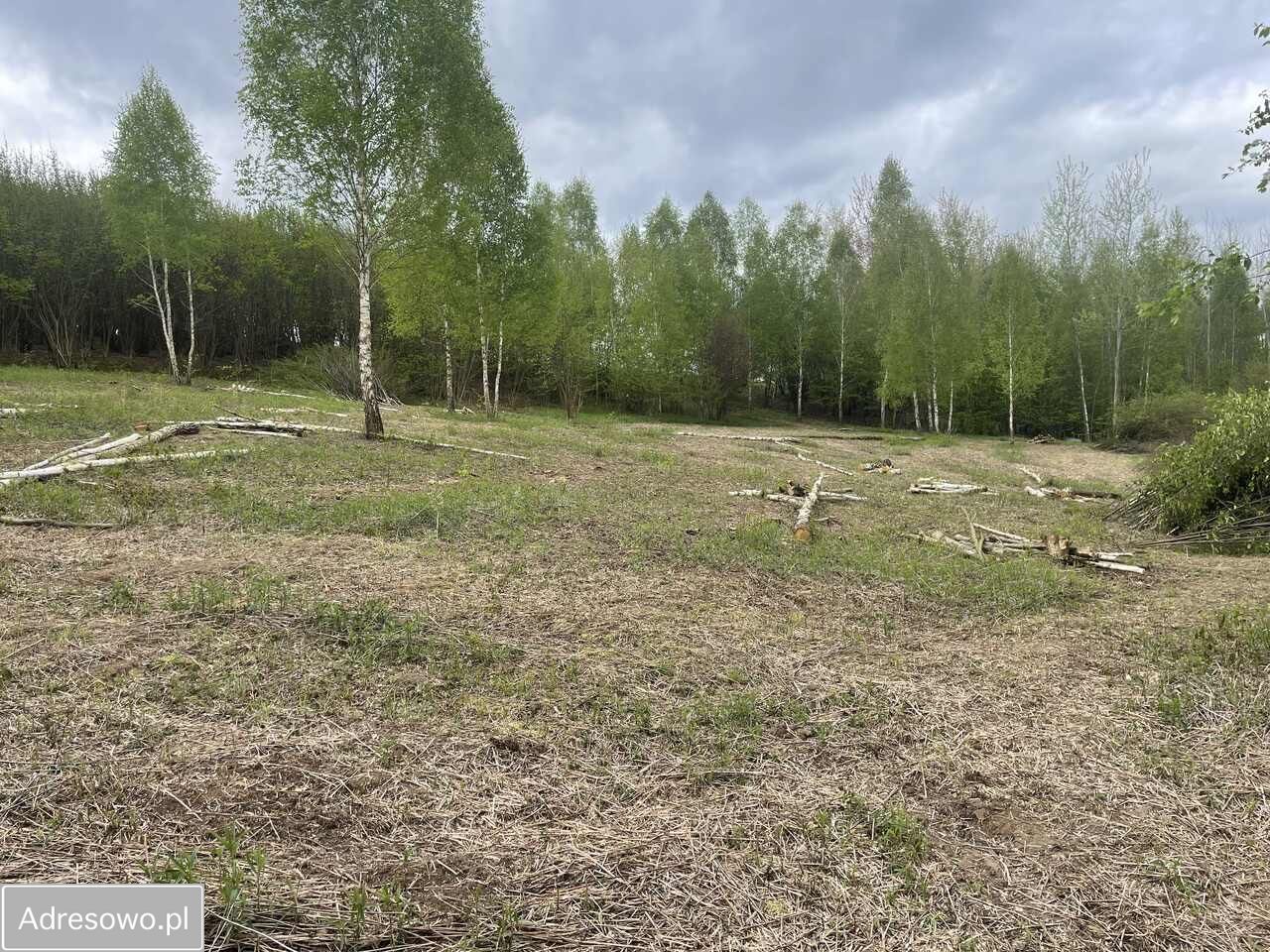 Działka budowlana Kazimierz Dolny. Zdjęcie 4