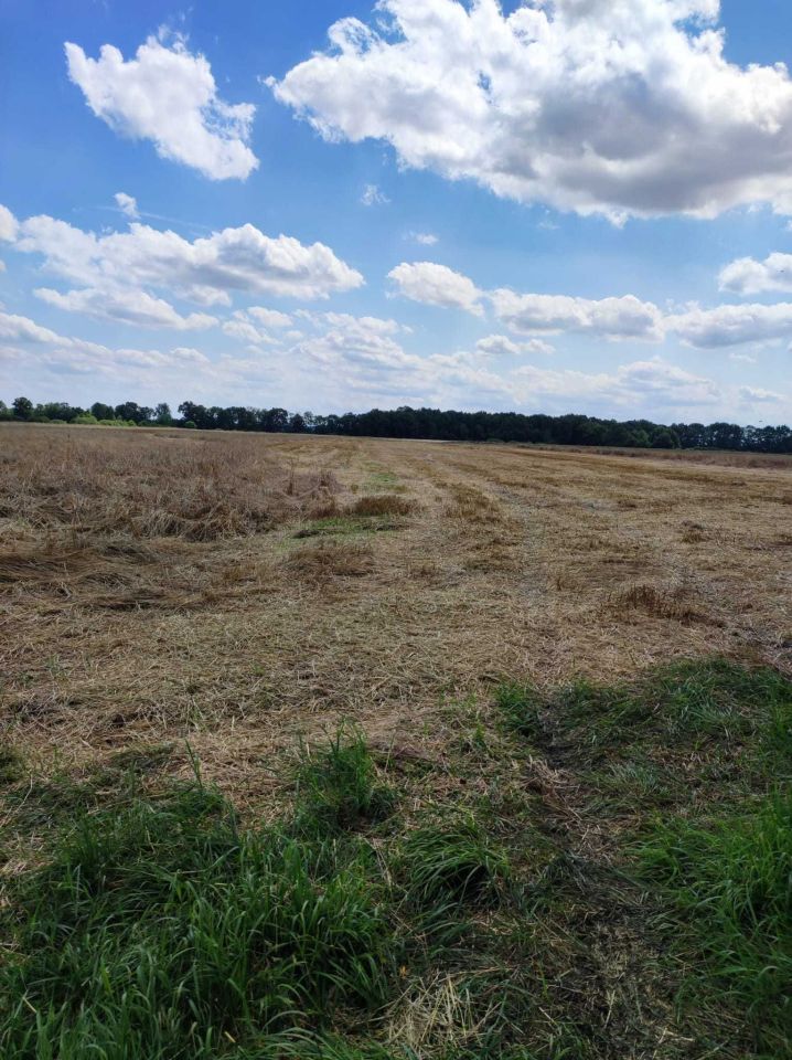 Działka rolno-budowlana Dobroszów Pieszków. Zdjęcie 2