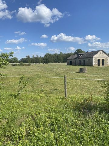 Działka siedliskowa Nury. Zdjęcie 1