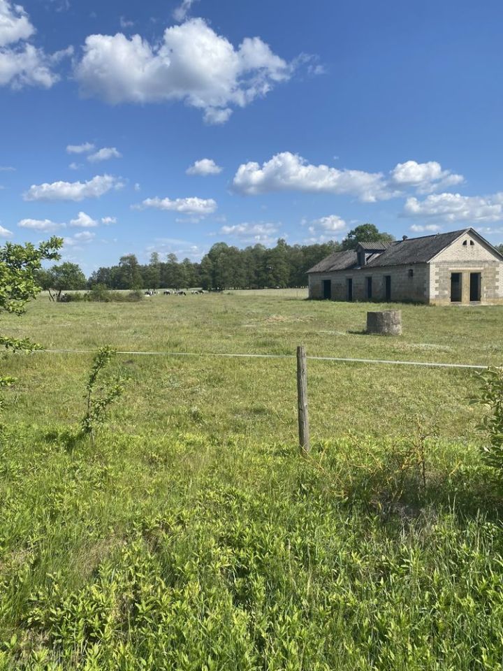 Działka siedliskowa Nury