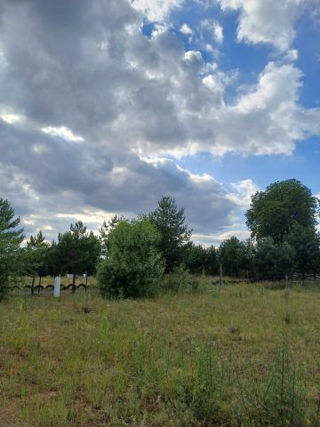 Działka budowlana Stara Dąbrowa. Zdjęcie 1