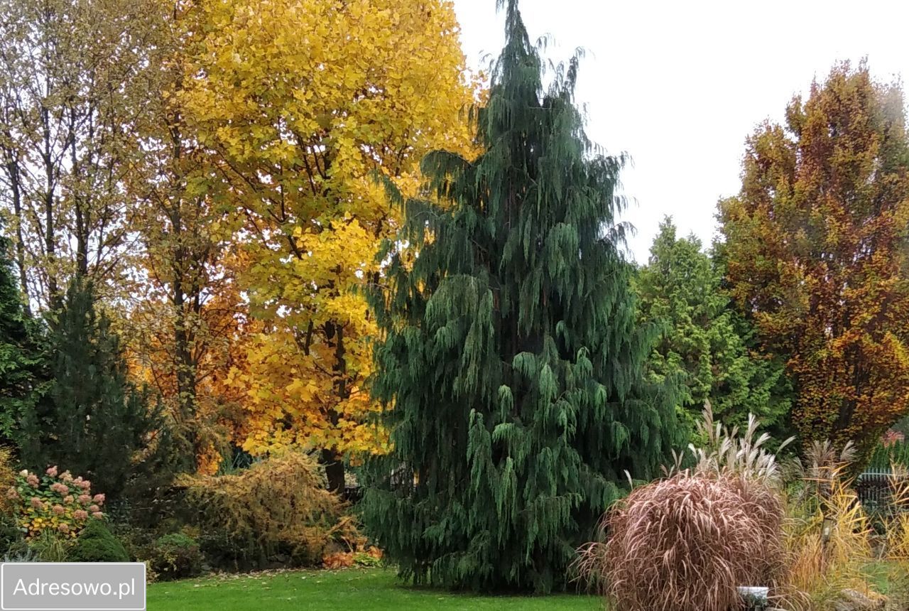 dom wolnostojący, 6 pokoi Jurowce. Zdjęcie 9