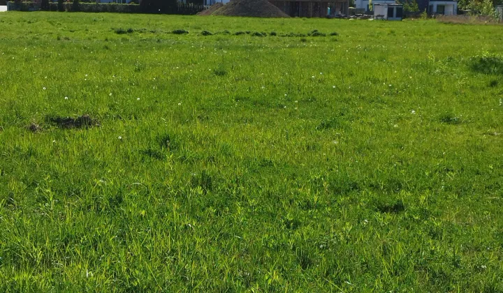 Działka budowlana Warszawa Wilanów, ul. Ruczaj