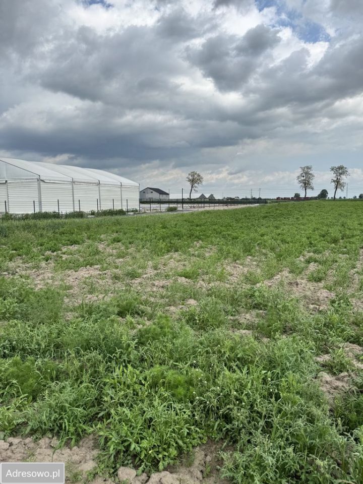 Działka inwestycyjna Brzostek. Zdjęcie 14