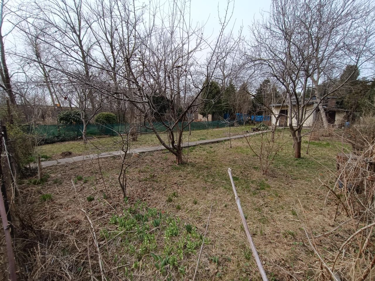 Działka rod Sosnowiec Pogoń, ul. Będzińska. Zdjęcie 3