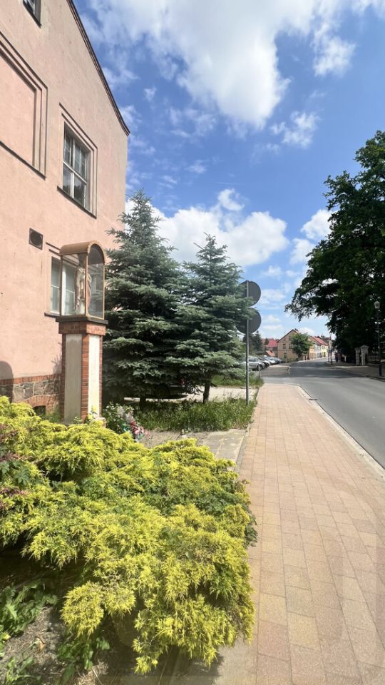 kamienica, 30 pokoi Osieczna. Zdjęcie 4