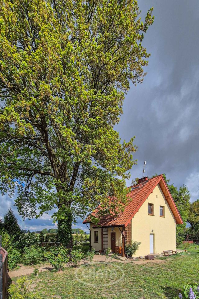 dom wolnostojący, 4 pokoje Brzezinka Średzka, ul. Jesionowa. Zdjęcie 20