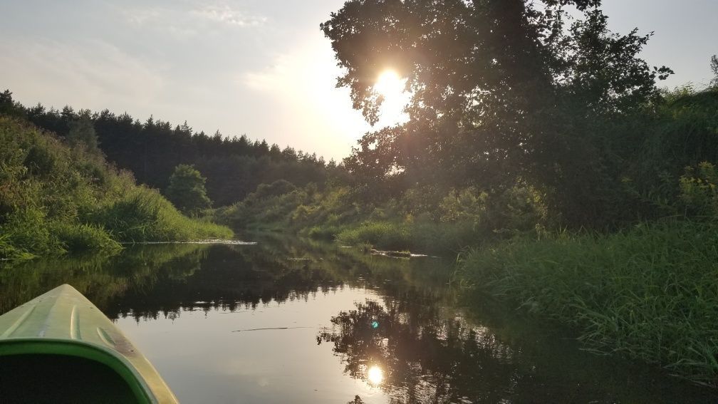 dom wolnostojący, 6 pokoi Radawa. Zdjęcie 8