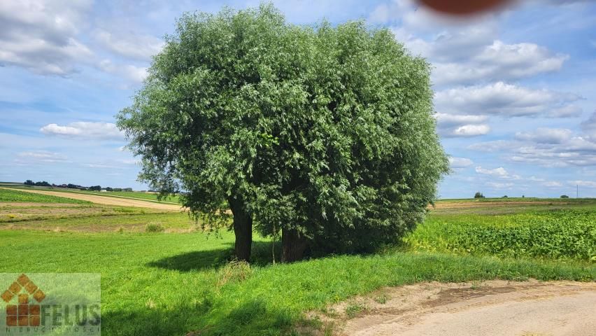 Działka rolno-budowlana Czuszów. Zdjęcie 7