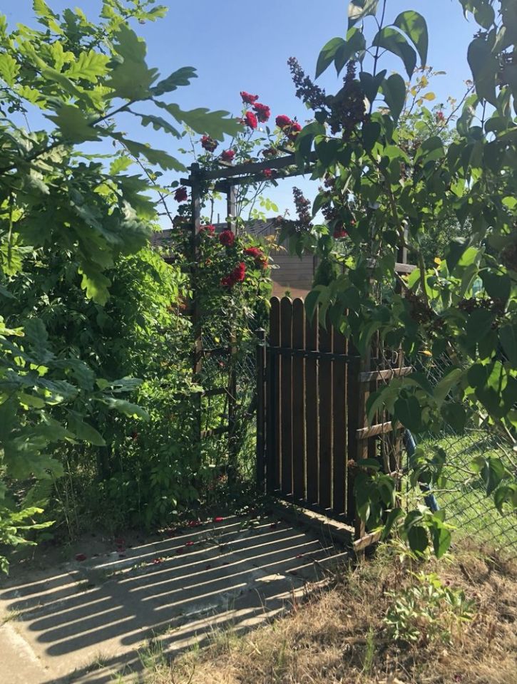 Działka rod Tarnów, ul. Józefa Dwernickiego. Zdjęcie 7