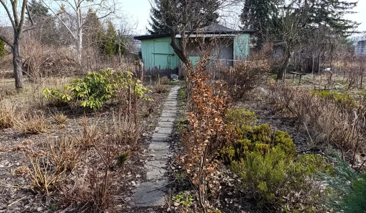 Działka rod Warszawa Włochy, ul. Sasanki