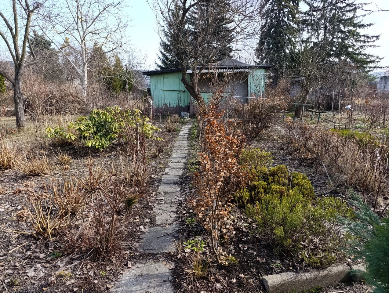 Działka rod Warszawa Włochy, ul. Sasanki. Zdjęcie 1