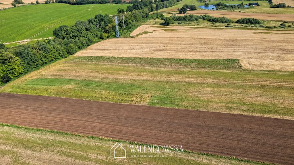 Działka Postomino. Zdjęcie 8