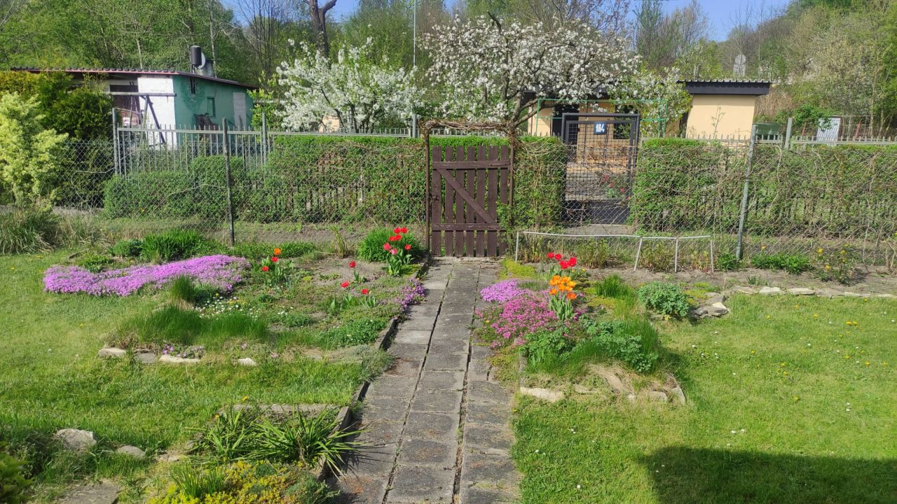 Działka rod Chorzów Pniaki, ul. Opolska. Zdjęcie 6