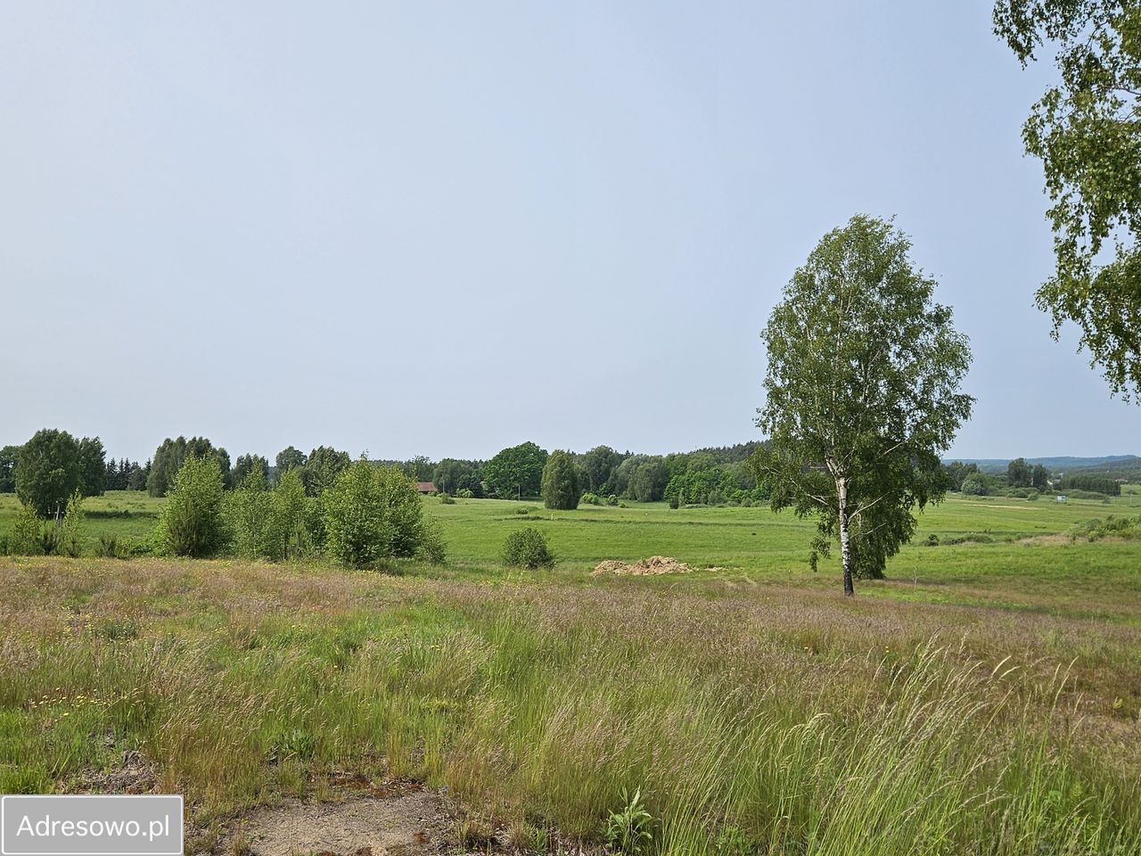 Działka rekreacyjna Woryty. Zdjęcie 5