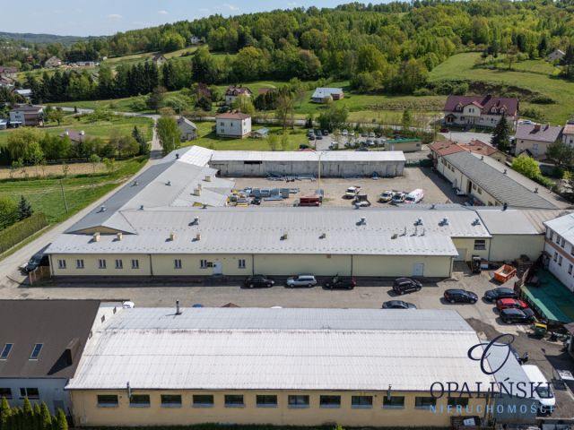 Lokal Lubenia. Zdjęcie 33