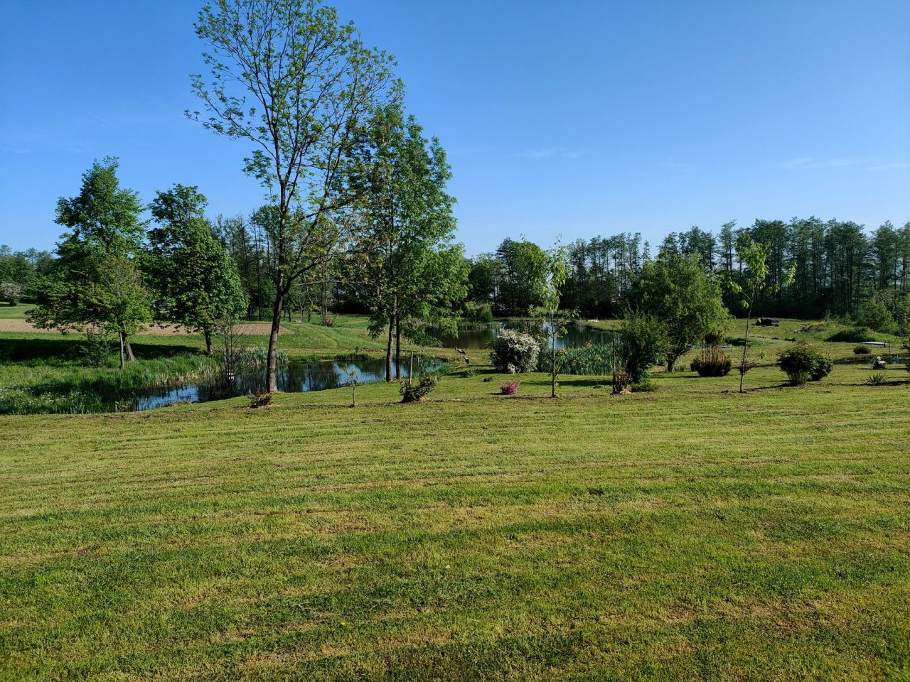 Działka rolno-budowlana Dzierżoniów. Zdjęcie 7