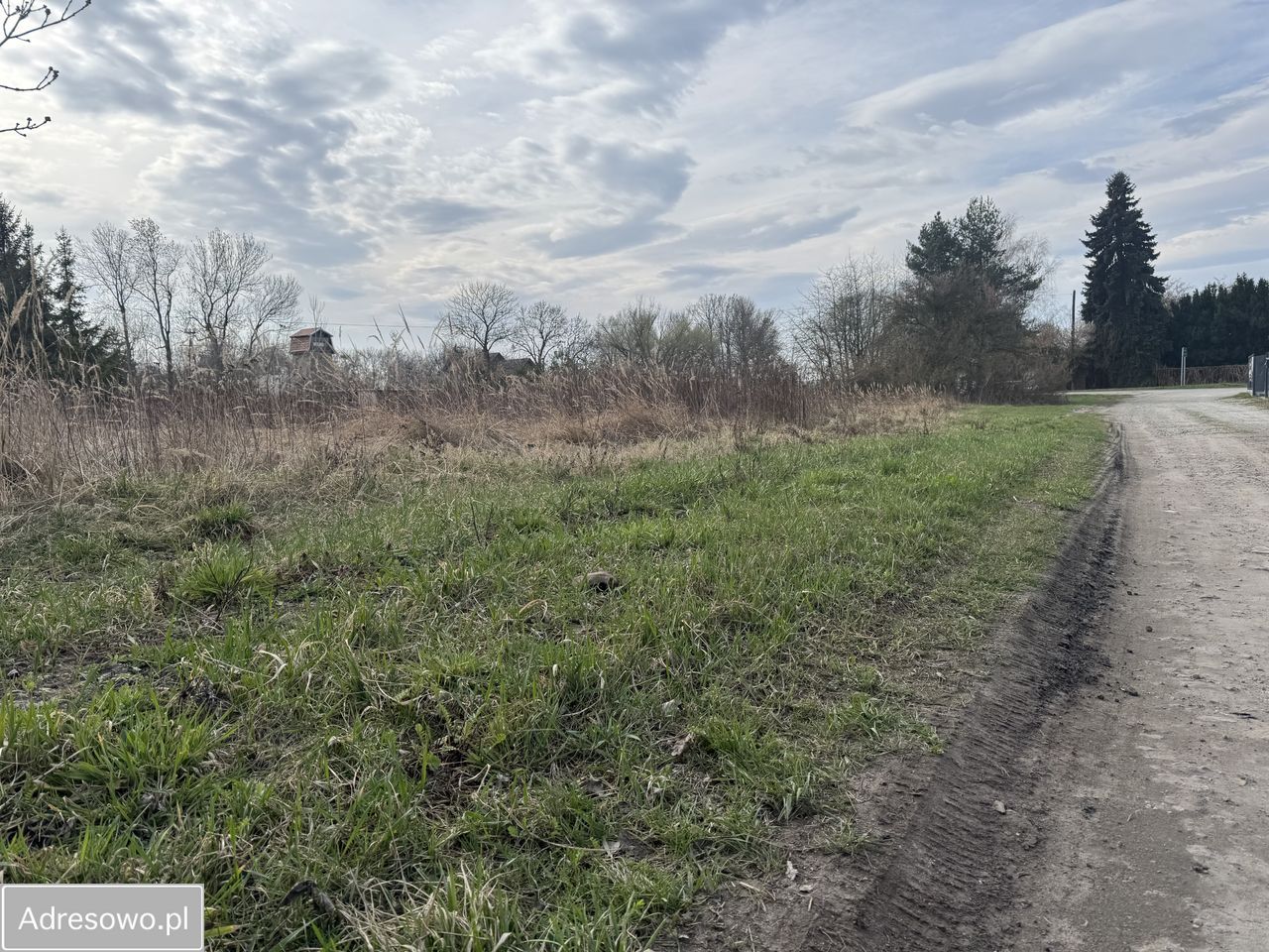 Działka budowlana Zębice, ul. Trzech Lip. Zdjęcie 2