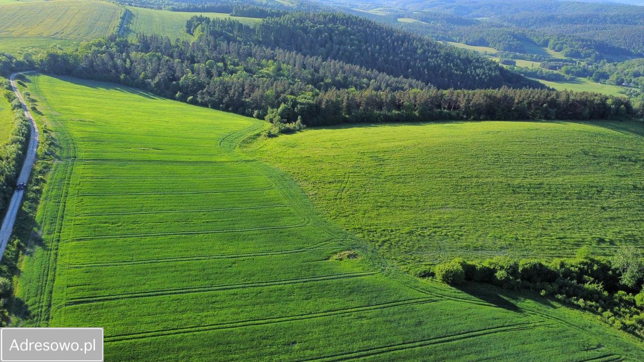 Działka rolna Leszczawa Górna. Zdjęcie 8