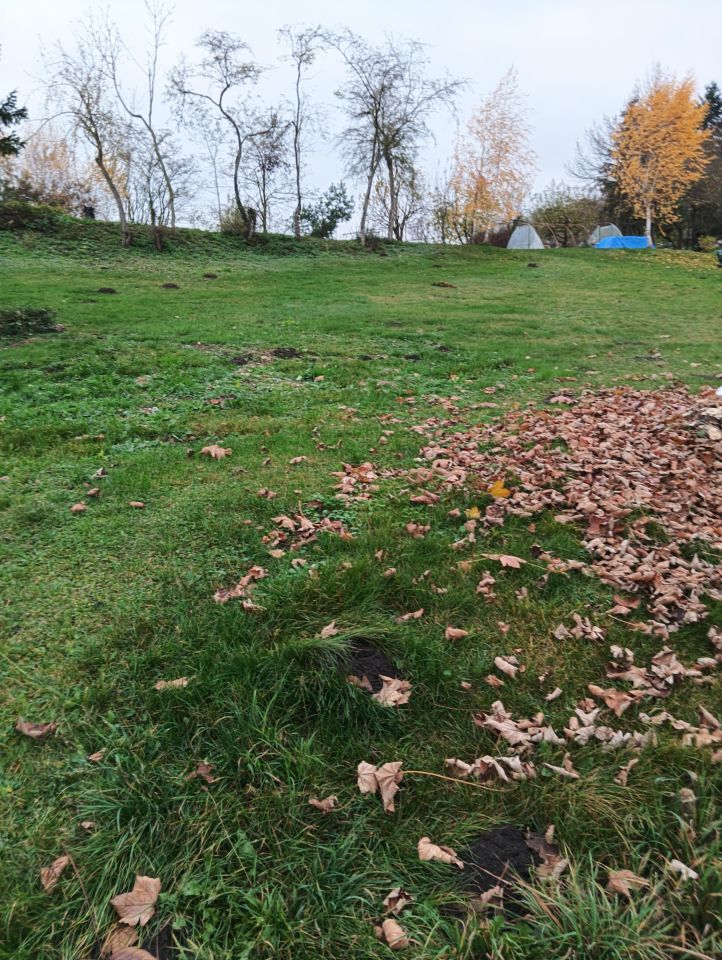 Działka rolno-budowlana Bobolin. Zdjęcie 3