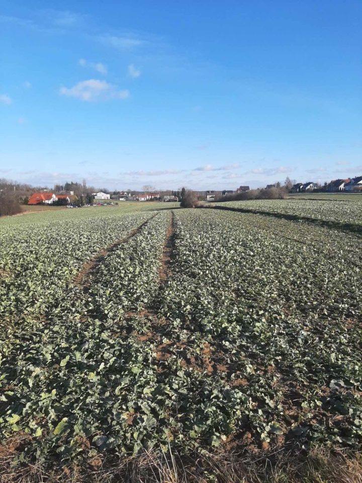 Działka budowlana Pułtusk