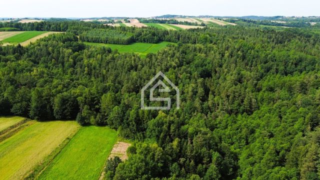 Działka rolno-budowlana Łąkta Górna. Zdjęcie 9