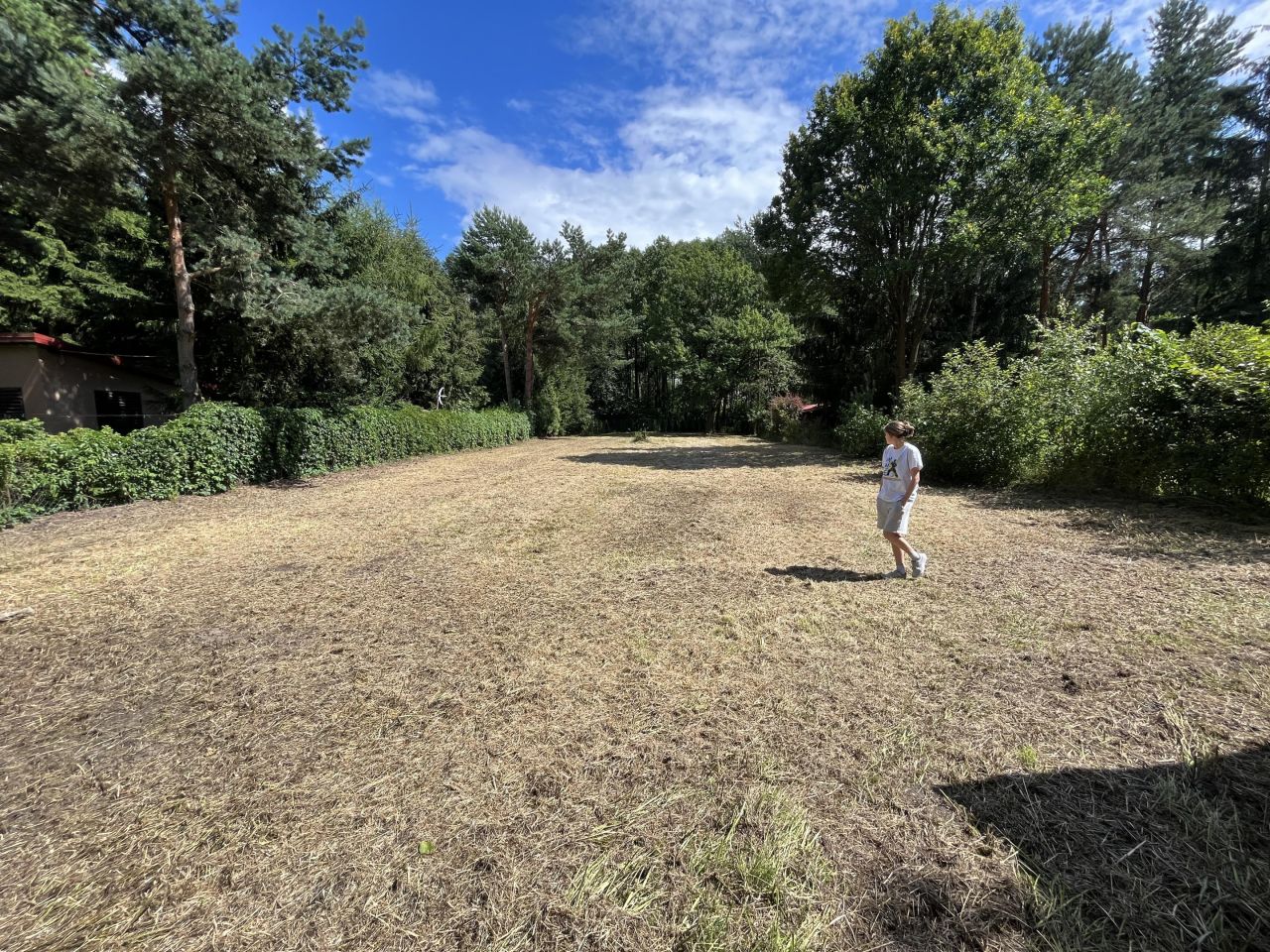 Działka rekreacyjna Skrzeszew, ul. Wczasowa. Zdjęcie 16