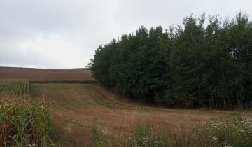 dom wolnostojący Krzyszkowice