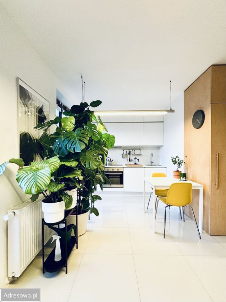 Mieszkanie 1-pokojowe Wrocław Śródmieście, ul. Stacha Świstackiego. Zdjęcie 5