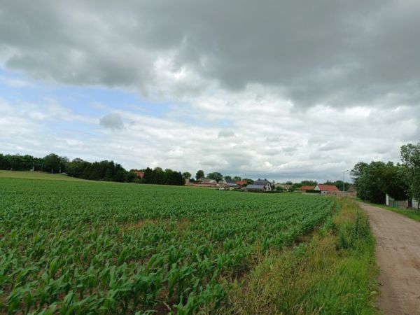 Działka rolna Podrzewie. Zdjęcie 3