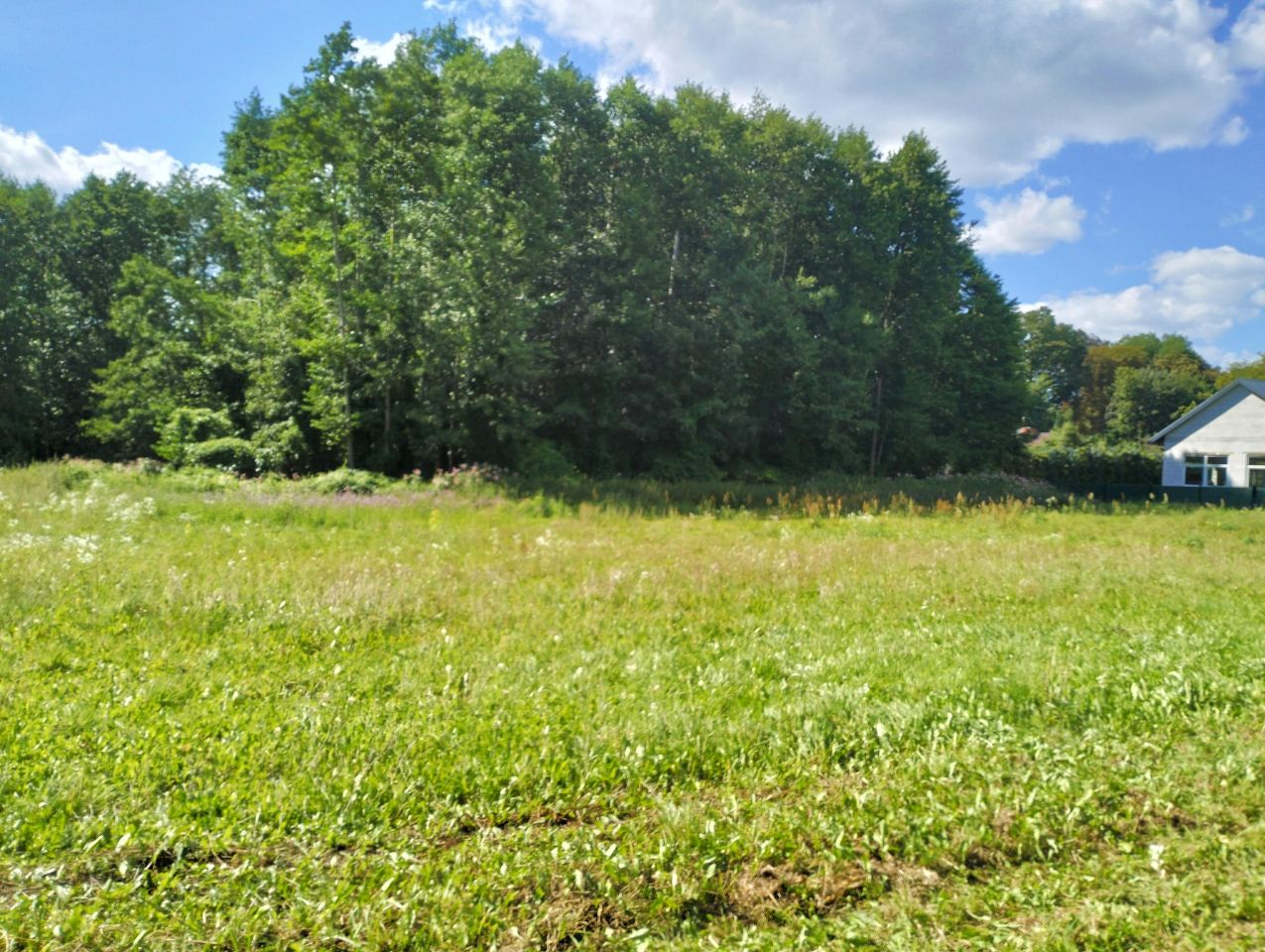 Działka budowlana Kłóbka. Zdjęcie 6