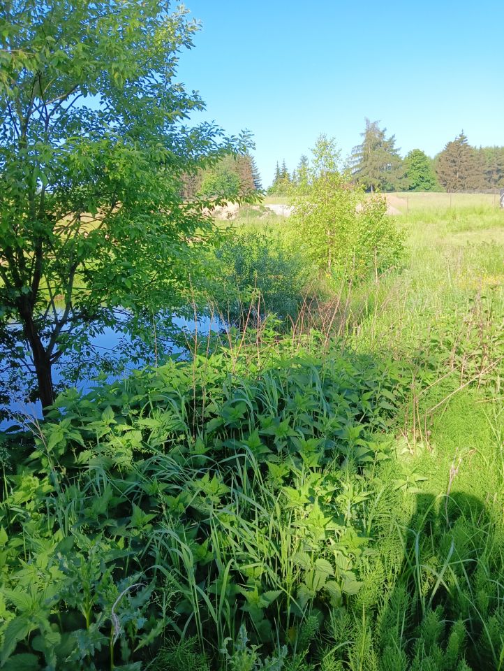 Działka budowlana Sulimy. Zdjęcie 5