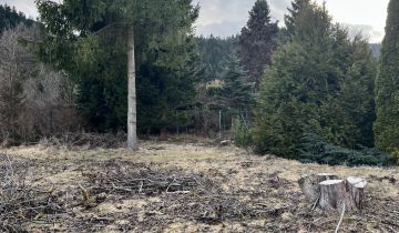 Działka rekreacyjna Krynica-Zdrój Jaworzyna, ul. Czarny Potok
