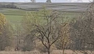 Działka rolna Kumów Majoracki