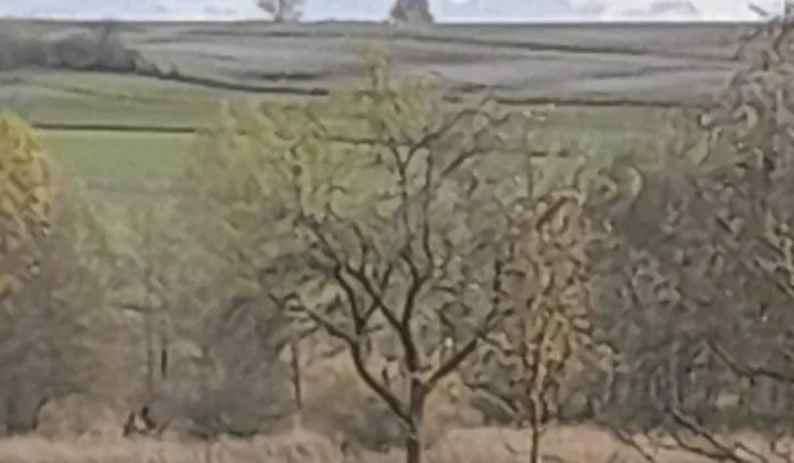 Działka rolna Kumów Majoracki