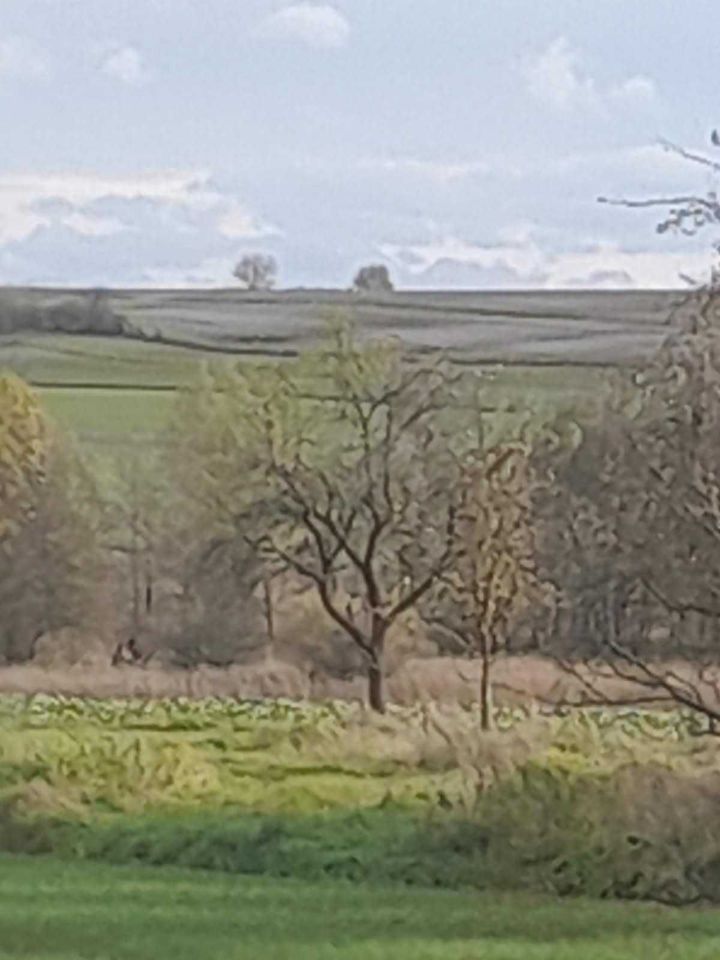 Działka rolna Kumów Majoracki