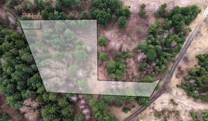 Działka budowlana Kędzierówka