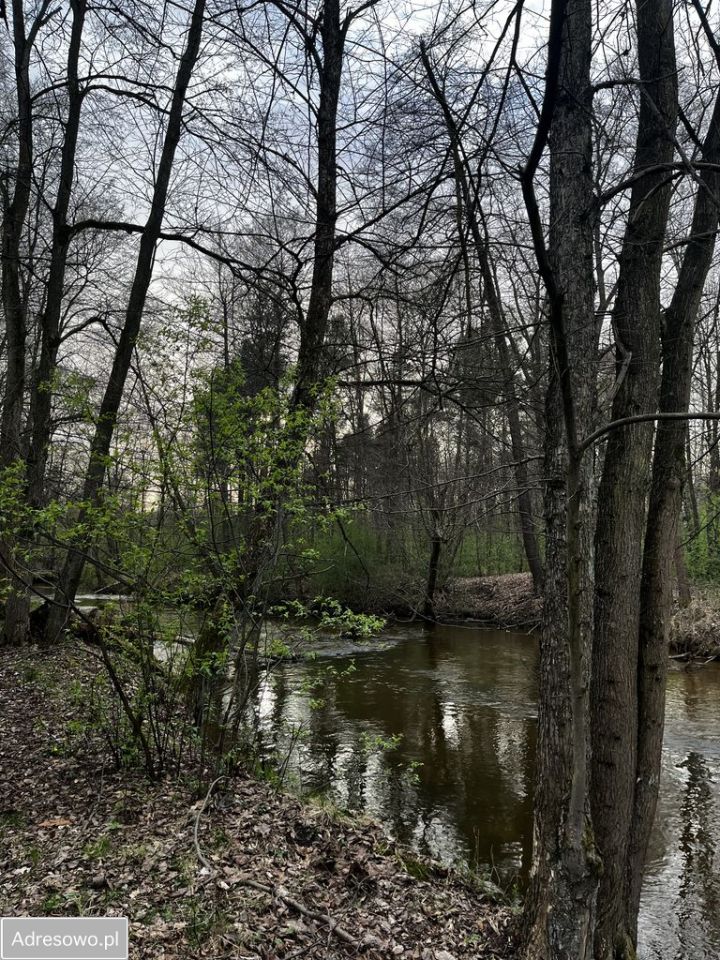 Działka leśna Jastrząb. Zdjęcie 6